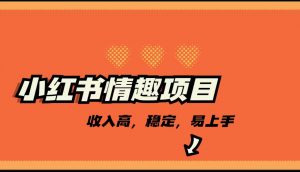 最新小红书情趣项目，市场大，日入千+，持续稳定收入-KJ分享