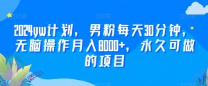 2024yw计划，男粉每天30分钟，无脑操作月入8000+，永久可做的项目-KJ分享