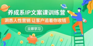 养成系-IP文案课训练营,文案心法的天花板 洞悉人性营销 让客户追着你收钱-KJ分享