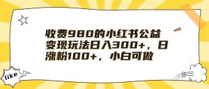 收费980的小红书公益变现玩法日入300+，日涨粉100+，小白可做-KJ分享