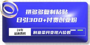 拼多多复制粘贴日引300+付费创业粉，割韭菜月变现六位数最新教程！-KJ分享