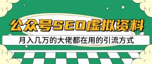 公众号SEO虚拟资料,操作简单,日入500+,可批量操作-KJ分享