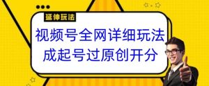 视频号全网最详细玩法，起号过原创开分成，单号日入300+【揭秘】-KJ分享