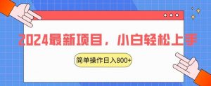 2024最新项目，红娘项目，简单操作轻松日入800+【揭秘】-KJ分享