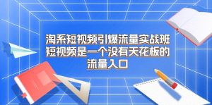 淘系短视频引爆流量实战班,短视频是一个没有天花板的流量入口-KJ分享