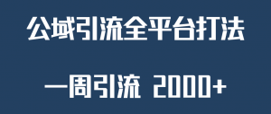 精准获客工具号，一周引流 2000+，公域引流全平台打法-KJ分享