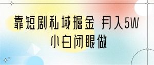 靠短剧私域掘金 月入5W 小白闭眼做(教程+2T资料)-KJ分享