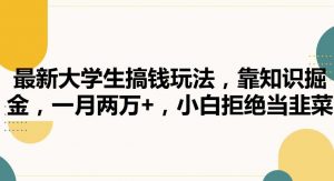 最新大学生搞钱玩法，靠知识掘金，一月两万+，小白拒绝当韭菜【揭秘】-KJ分享