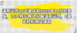 淘系运营21天速成班2023年12月完整版,10大核心模块分解淘系运营,0基础轻松搞定爆款-KJ分享