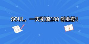 SOUL,一天引流100 创业粉!-KJ分享
