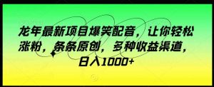 龙年最新项目爆笑配音，让你轻松涨粉，条条原创，多种收益渠道，日入1000+【揭秘】-KJ分享