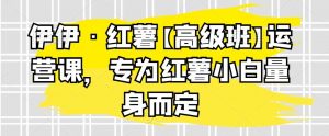 伊伊·红薯【高级班】运营课，专为红薯小白量身而定-KJ分享