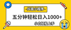 轻松日入1000+，抖音小程序最新思路，每天五分钟，适合0基础小白-KJ分享