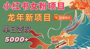 小红书女粉头像项目，单日变现5000+，适合在家做的副业，长期稳定【揭秘】-KJ分享