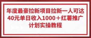 年度最豪拉新项目拉新一人可达40元单日收入1000+红薯推广计划实操教程【揭秘】-KJ分享
