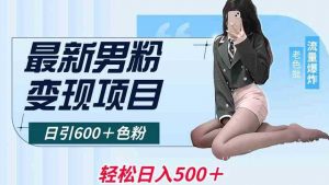 最新男粉变现项目,日引600+色粉,全平台通用,轻松日入500+【揭秘】-KJ分享