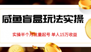 独家首发咸鱼盲盒玩法实操,半个月批量起号单人15万收益揭秘-KJ分享