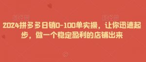 2024拼多多日销0-100单实操,让你迅速起步,做一个稳定盈利的店铺出来-KJ分享