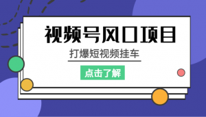 视频号风口项目,打爆短视频挂车-KJ分享
