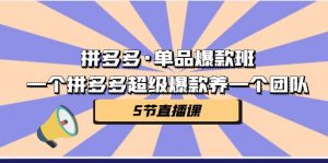 拼多多·单品爆款班，一个拼多多超级爆款养一个团队（5节直播课）-KJ分享