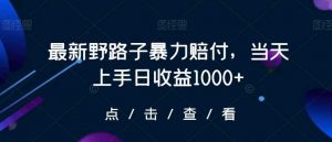 最新野路子暴力赔付,当天上手日收益1000+【仅揭秘】-KJ分享