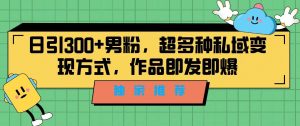 独家推荐!日引300+精准男性粉丝,分类风格视频新玩法2.0!变现超级快-KJ分享