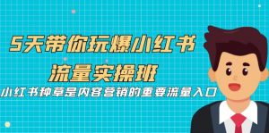 5天带你玩爆小红书流量实操班,小红书种草是内容营销的重要流量入口-KJ分享