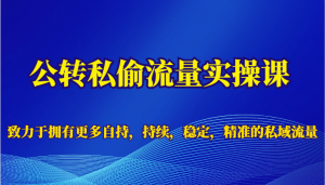 公转私偷流量实操课,致力于拥有更多自持,持续,稳定,精准的私域流量-KJ分享