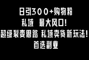 日引300+购物粉,超级裂变思路,私域卖货新玩法,小红书首选副业【揭秘】-KJ分享