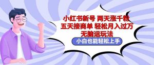 小红书新号两天涨千粉五天接商单轻松月入过万 无脑搬运玩法 小白也能轻…-KJ分享