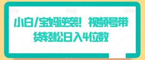 小白/宝妈逆袭!视频号带货轻松日入4位数【揭秘】-KJ分享
