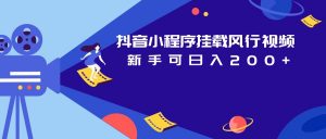 抖音小程序挂载风行视频变现项目日入200+-KJ分享