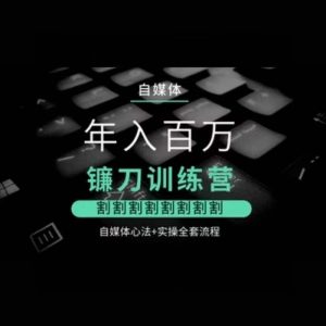 自媒体年入百万镰刀训练营，割割割割割割割割，自媒体心法+实操全套流程-KJ分享