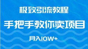 极致引流教程，手把手教你卖项目，月入10W+-KJ分享