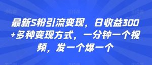 最新S粉引流变现,日收益300+多种变现方式,一分钟一个视频,发一个爆一个【揭秘】-KJ分享