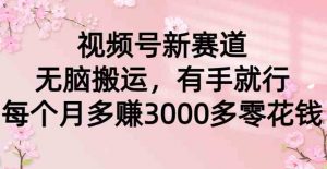 视频号新赛道,无脑搬运,有手就行,每个月多赚3000多零花钱-KJ分享