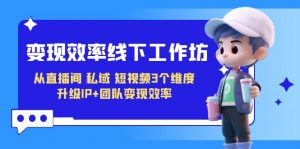 变现-效率线下工作坊，从直播间、私域、短视频3个维度 升级IP+团队变现效率-KJ分享