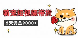 东哲日记·萌宠短视频带货，2天佣金9000+-KJ分享
