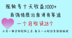 十天收益5000+,多平台捞金,视频号情感治愈漫剪,一个月收徒28个,小白一部手机轻松上手【揭秘】-KJ分享