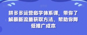 拼多多运营必学体系课,带你了解最新流量获取方法、帮助你降低推广成本-KJ分享