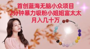 首创蓝海无脑小众项目，2分钟暴力吸粉小姐姐富太太，月入几十万-KJ分享