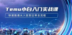 Temu小白入门实战课:跨境拼多多电商培训 快速跑通从入驻到出单全流程-12节-KJ分享