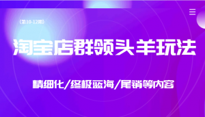 淘宝店群领头羊玩法，精细化/终极蓝海/尾销等内容（第10-12期）-KJ分享