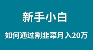 新手小白如何通过割韭菜月入 20W-KJ分享