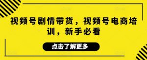 视频号剧情带货，视频号电商培训，新手必看-KJ分享