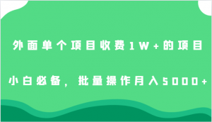外面单个项目收费1W+的项目,小白必备,批量操作月入5000+-KJ分享