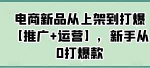 电商新品从上架到打爆【推广+运营】,新手从0打爆款-KJ分享
