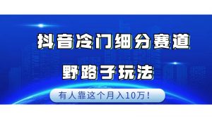 抖音冷门细分赛道野路子玩法,有人靠这个月入10万-KJ分享