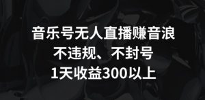 音乐号无人直播赚音浪，不违规、不封号，1天收益300+-KJ分享