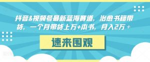 抖音&视频号最新蓝海赛道,治愈书籍带货,一个月带货上万+本书,月入2万+-KJ分享